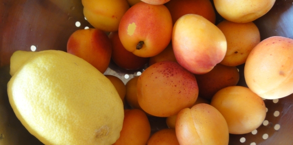 Aprikosen und Zitrone